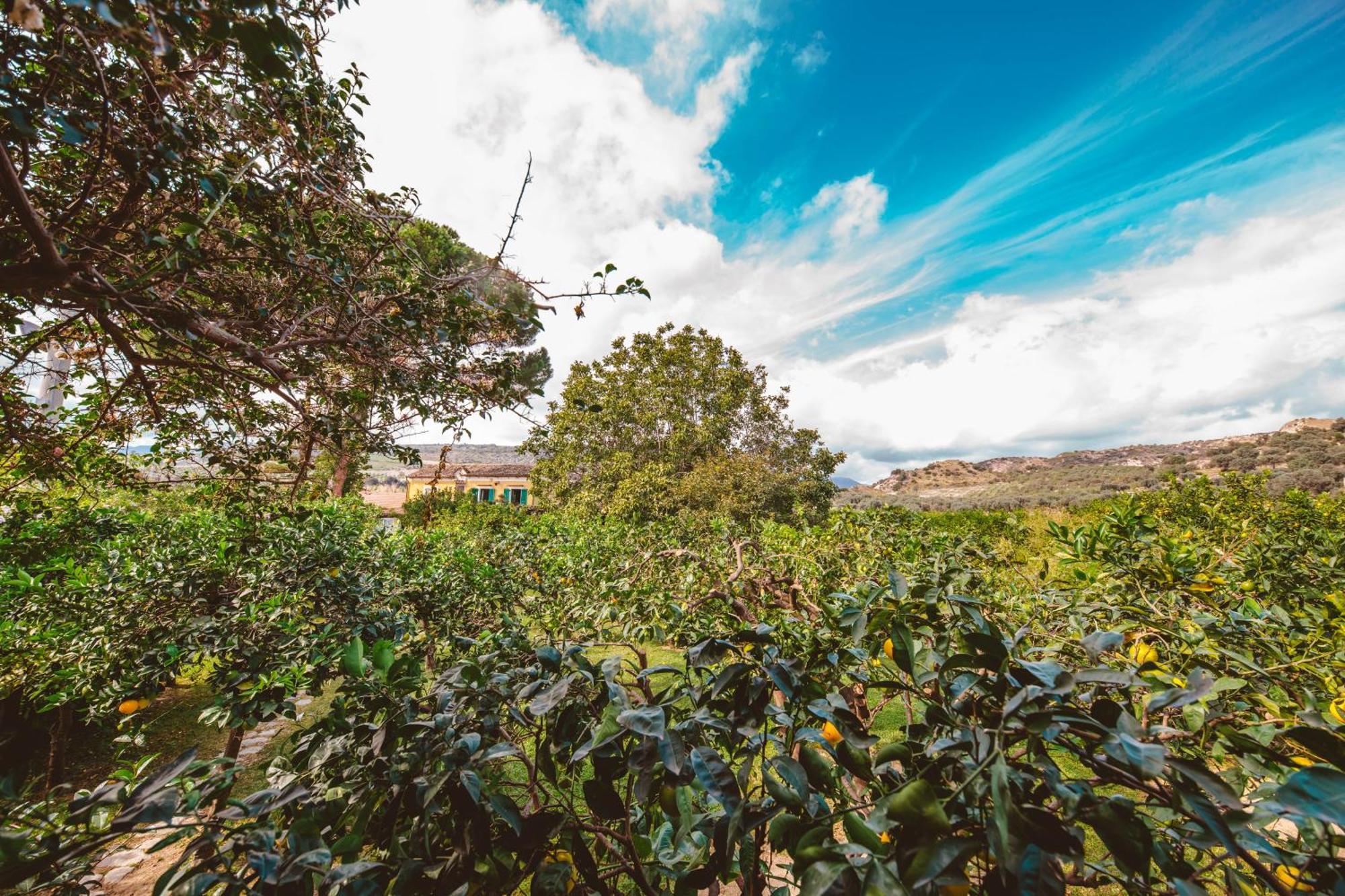 Agriturismo Villa Vittoria Guardavalle Dış mekan fotoğraf