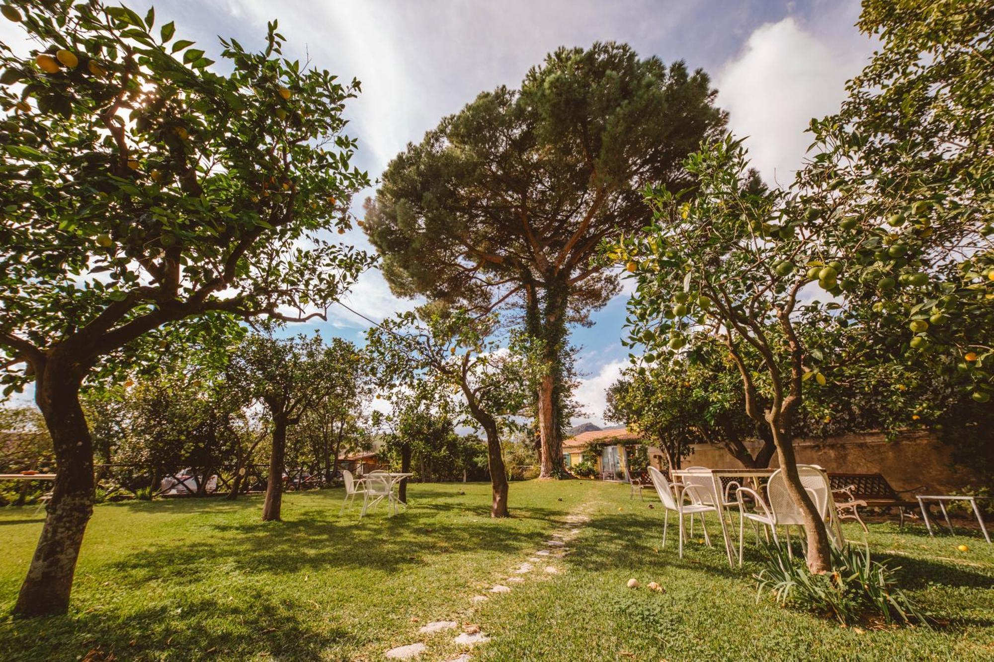Agriturismo Villa Vittoria Guardavalle Dış mekan fotoğraf