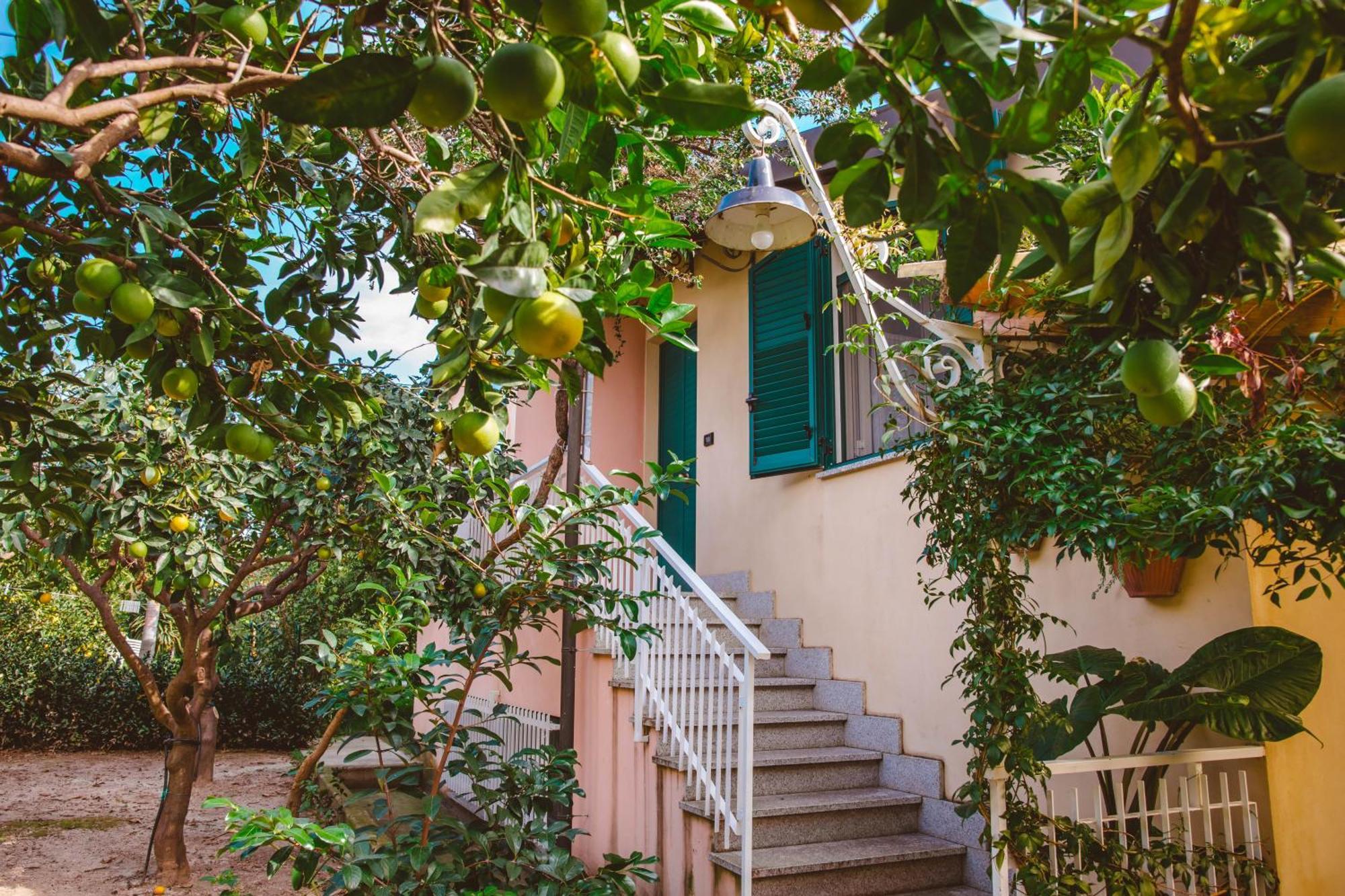 Agriturismo Villa Vittoria Guardavalle Dış mekan fotoğraf