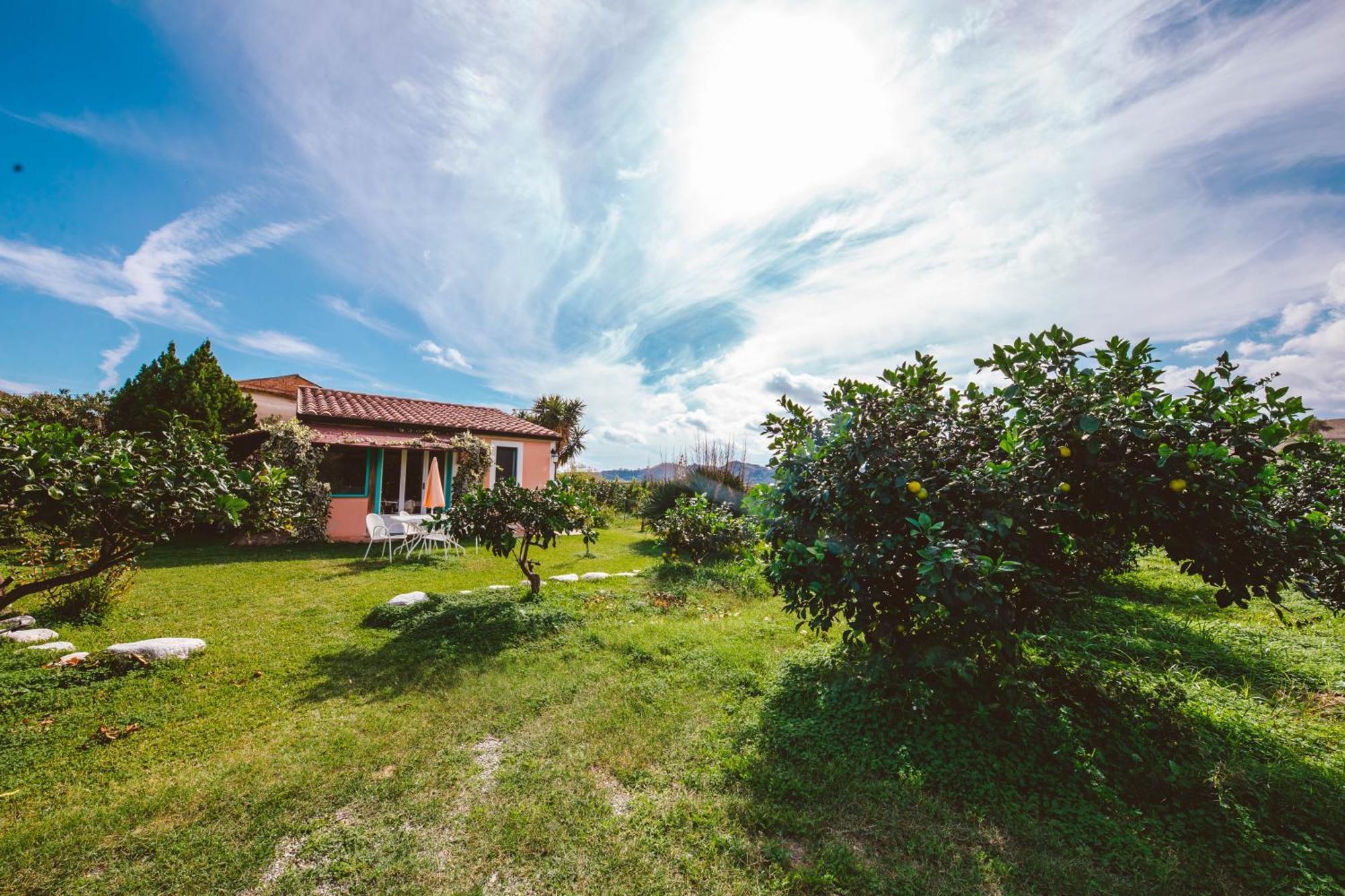 Agriturismo Villa Vittoria Guardavalle Dış mekan fotoğraf